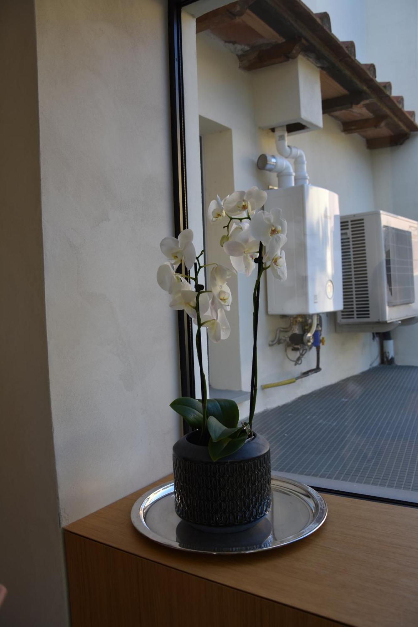 Il Giardino Di Dinda Apartment Арецо Екстериор снимка
